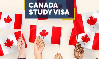 Best Reasons to Compel You to Study in Canada Fruitfully