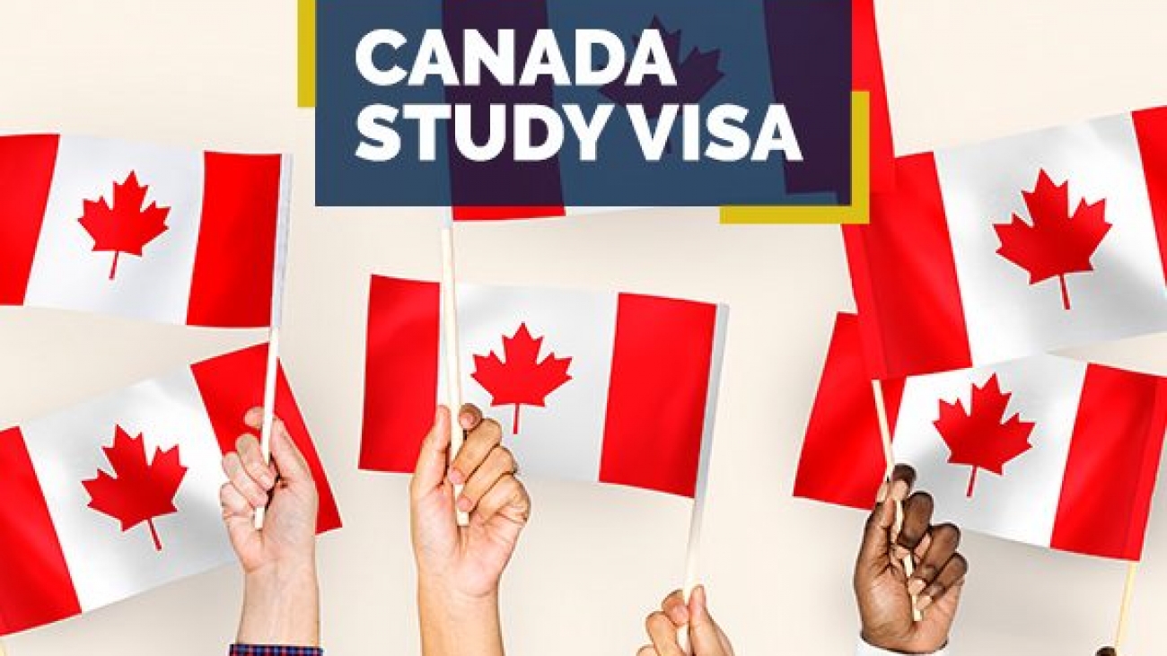 Best Reasons to Compel You to Study in Canada Fruitfully