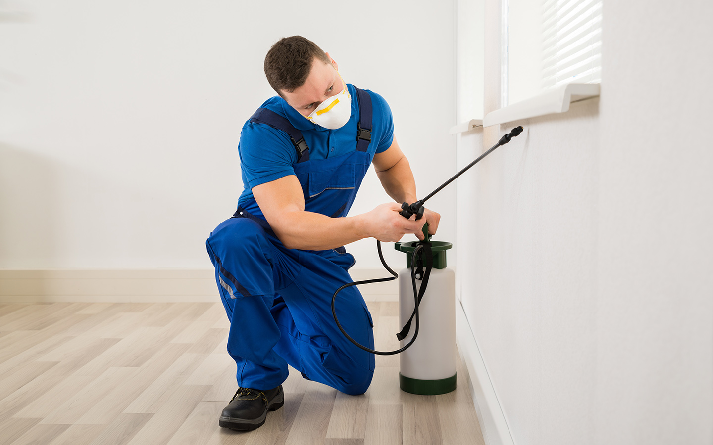 Pest Control Services In Islamabad