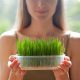 The Health Benefits of Wheatgrass