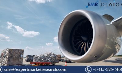 Air Freight Software Market